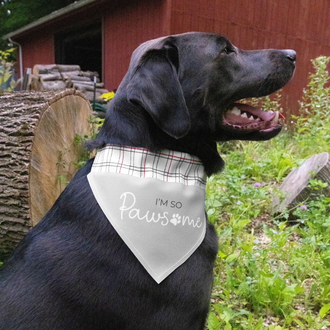 I’m So Pawsome Canvas Slip-On Pet Bandana – Pavilion’s Pets – 7″x5″
